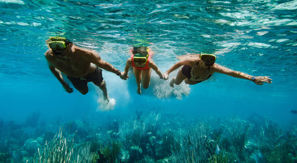 Imagen de la sección 3